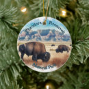 Suche nach bison ornamente Norddakota