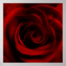 Suche nach rote blume poster Für sie/ihn