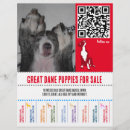 Suche nach hund andere flyer Für haustiere
