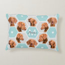 Suche nach graue katzen kissen Für haustiere