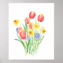 Suche nach narzissen poster Tulpen