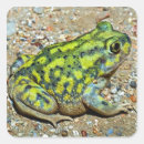 Suche nach kröte aufkleber Amphibie