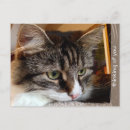 Suche nach zucht karten Jede person