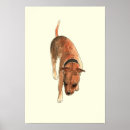 Suche nach staffordshire terrier poster Für alle
