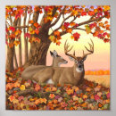Suche nach whitetail poster Tierwelt