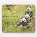 Suche nach bambus mousepads Niedlich