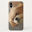 Suche nach lhasa iphone hüllen Apro
