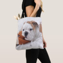 Suche nach englische bulldogge taschen Welpe
