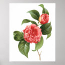Suche nach vintage flowers poster Botanical