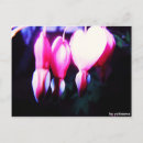 Suche nach blumenherz postkarten Für alle