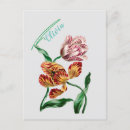 Suche nach antike illustration postkarten Blumen