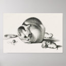 Suche nach antike katze poster Kätzchen