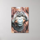 Suche nach orang utan kunst Jede person