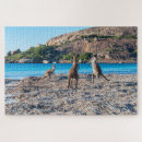 Suche nach känguru puzzle Australien