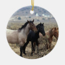 Suche nach mustang ornamente Foto