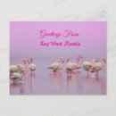 Suche nach rosa flamingos postkarten Usa