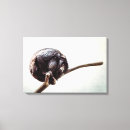 Suche nach traurig leinwandbilder Modern