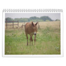 Suche nach calander kalender Hunde