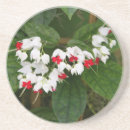 Suche nach reben untersetzer Blume