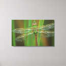 Suche nach pfeile leinwandbilder Grüner pfeil