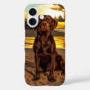 Suche nach schokolade labrador iphone hüllen Haustier