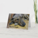 Suche nach tierheim karten Hund