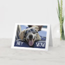 Suche nach hund mit brille karten Mutter
