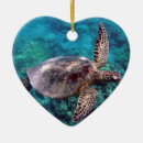 Suche nach honu schildkröte ornamente Hawaii