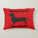 Suche nach dackel dekokissen Modern