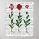 Suche nach nelke poster Tiere