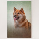 Suche nach hund puzzle Natur