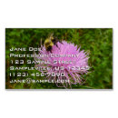 Suche nach bienen visitenkarten Jede person