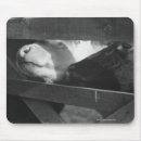 Suche nach nasen mousepads Nahaufnahme