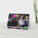 Suche nach bunte katzen karten Katzenliebhaber