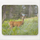 Suche nach wiesen mousepads Natur