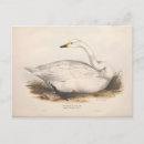 Suche nach decoupage postkarten Ephemera