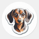 Suche nach hundeaufkleber Dackel