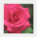Suche nach florist magnete Gärtner
