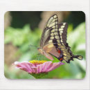 Suche nach riesen mousepads Jede person