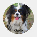 Suche nach papillons schmuck Niedlich