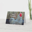 Suche nach schwarzer hahn karten Huhn