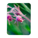Suche nach makrofoto Blume