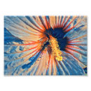 Suche nach satin poster Rosa