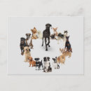 Suche nach dog breed Tierarzt