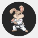 Suche nach selbstverteidigung aufkleber Ninja
