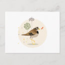 Suche nach vogelbilder postkarten Vögel