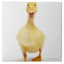 Suche nach stehend fliesen Betrachten der kamera