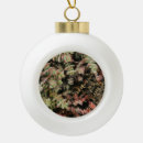 Suche nach wüsten pflanzen ornamente Natur