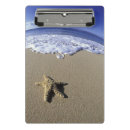 Suche nach surf klemmbrett Tropisch