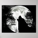 Suche nach schwarzer wolf poster Hund
